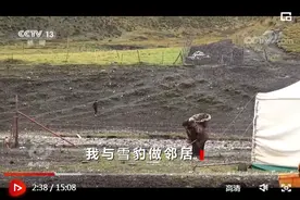 焦点访谈丨和野生动物共享同一片土地 中国生物多样性保护不断取得新成效图片