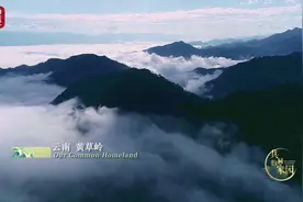 荒漠变绿洲，超一万平方公里流沙止步生绿！中国，又获一个世界第一图片