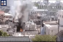 日本埼玉县一变电站突发火灾 首都圈地区铁路大范围停运图片
