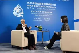 云南大象迁徙的故事传到了国外？大卫·库伯：人类可以改善与大自然的关系图片