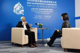 云南大象迁徙的故事传到了国外？大卫·库伯：人类可以改善与大自然的关系图片
