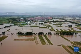 筑牢堤坝！直击汾河山西河津段泄洪抢险现场图片