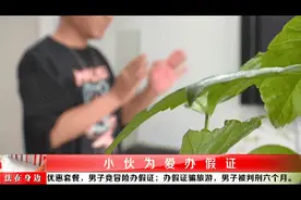 为享优惠小情侣办假结婚证，结果被判刑图片