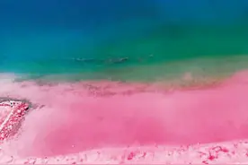 “网红打卡地”泛滥 褪下滤镜后还有多少能看的？图片