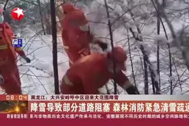 黑龙江：大兴安岭呼中区迎来大范围降雪视频封面