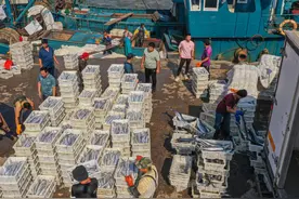 山东荣成：“海洋资源得到养护，出海才能鱼虾满仓”图片