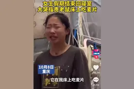 重庆一女大学生返校回宿舍，大哭指责老鼠床上吃麦片！网友：又惨又好笑图片