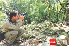 海南周刊 | 自在飞鸟嘤嘤啼图片