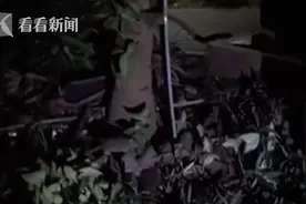 小区老鼠频现！业主质疑物业不作为 回应让人气愤图片