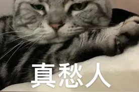 微信、支付宝宣布重大调整！是你想要的功能吗？图片