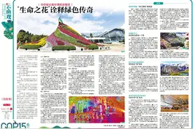 “生命之花”诠释绿色传奇——华侨城云南世博旅游集团图片