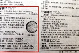 新闻追踪｜中药专家：“羊宝”实为羊胲子，偶见入药图片