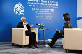 云南大象迁徙的故事传到了国外？大卫·库伯：人类可以改善与大自然的关系图片