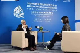云南大象迁徙的故事传到了国外？大卫·库伯：人类可以改善与大自然的关系图片