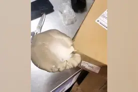 快递半月未拿长出蘑菇，主人：买的菌种，已拿回家吃了视频封面