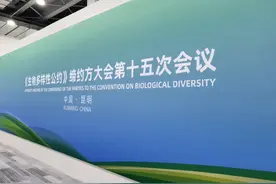 COP15有什么议程？记者带你抢先看图片