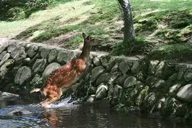 2021年，日本人最想居住的地方Top10图片