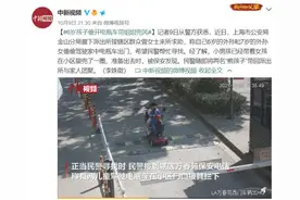 胆子也太大了！6岁男孩偷开电瓶车带7岁姐姐兜风图片