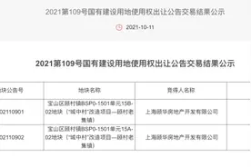 第二轮集中供地开启，大华率先拿下顾村两幅城中村地块图片