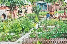 小康圆梦·鲜花盛开的村庄｜库勒人勤 小院菜俏图片
