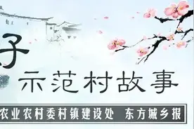 讲好示范村故事｜嘉定周泾村：集中归并盘活土地，为农业装上“智慧脑”图片