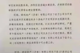 绿地地产（济南）有限公司因违规被暂停办理商品房预售许可证图片
