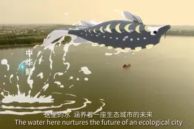 我们的共同家园｜生态城市 美丽上海视频封面