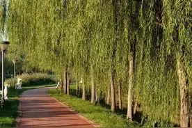 随笔｜第三卫生间图片