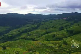 被载入世界遗产名录！云南元阳梯田，半亩地养活一个人！视频封面