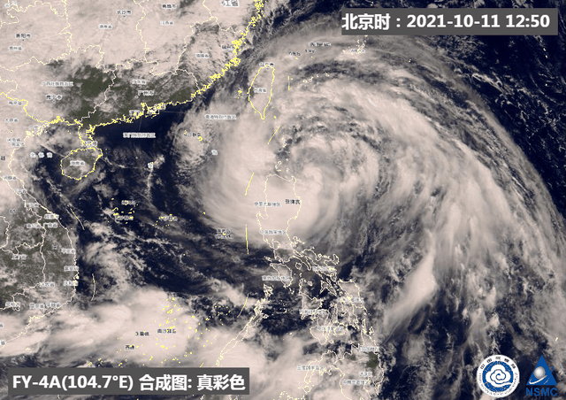 大连有产花胶 2026年大连有产花胶的厂家吗