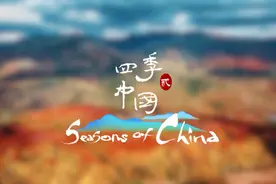 《四季中国》第二季，发现斑斓中国色图片