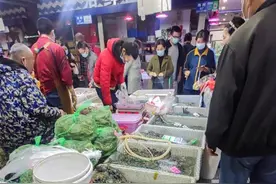 一场冷雨入深秋，螃蟹正熟身价跌，膏黄丰满的吃蟹最佳时期要来了图片