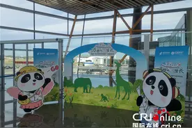 从北京到昆明 COP15主题航班的别样体验图片