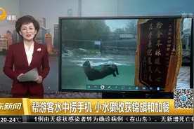 帮游客水中捞手机 小水獭收获锦旗和加餐视频封面