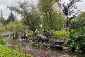 昆明城市水生态建设：用生物链的方式治理水环境，建设海绵城市图片