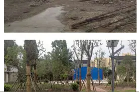 靖江孤山：民生实事聚焦老百姓家门口的幸福图片