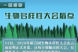 这场大会，为何全球瞩目？——2020年联合国生物多样性大会四大看点透视图片