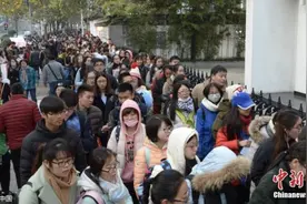 硕士起步，博士扎堆，教师岗位真的“挤破头”？图片