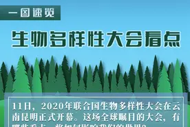 这场大会，为何全球瞩目？——2020年联合国生物多样性大会四大看点透视图片