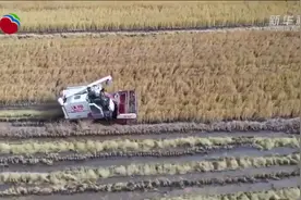 黑龙江超一亿亩农作物已完成秋收视频封面