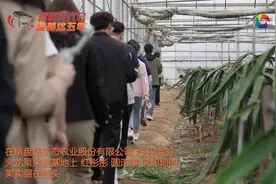 「皖美这五年」宣城洪林镇：现代农业铺画卷 电商小镇促振兴图片