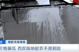 每吨涨超2000元！这种原料，价格大涨，农民却纷纷放弃它？咋回事？图片
