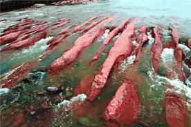 洛阳嵩县伊河段惊现“红色奇石”！专家释疑……图片