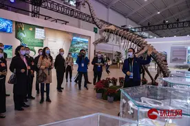 中国首个3D打印恐龙骨架亮相昆明生物多样性大会图片