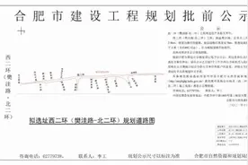 重磅规划！合肥“高铁新城”来了图片