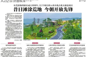 南方观察｜滨海湾四年嬗变之路：昔日滩涂荒地，今朝开放先锋图片