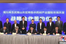 湖南加速湘药出海 推动中药材产业国际化图片