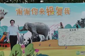 动物园该什么样？南京这家动物园给出了答案图片