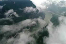 微纪录片 | 万物共生图片