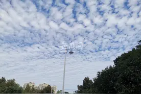合肥天空出现高积云 气象专家：和即将到来的强冷空气有关图片
